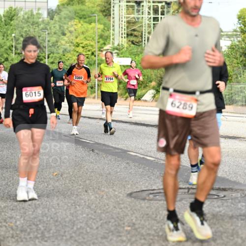 06.09.2026 - CURREX Alsterlauf Dr. Thomas Lammeyer http://msf.ph/oto/10141448 06.09.2026 10:10:18 Laufen 5255, 4488, 5616, 6015, 3828, 3302, 2794, 6289, 363 meine-sportfotos.de