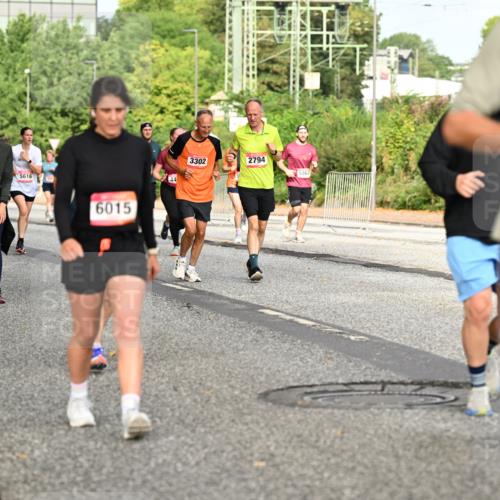 06.09.2026 - CURREX Alsterlauf Dr. Thomas Lammeyer http://msf.ph/oto/10141455 06.09.2026 10:10:19 Laufen 5255, 4488, 5616, 6015, 3302, 2794, 5363, 44, 6289 meine-sportfotos.de