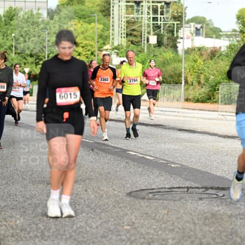 06.09.2026 - CURREX Alsterlauf Dr. Thomas Lammeyer http://msf.ph/oto/10141457 06.09.2026 10:10:19 Laufen 5255, 4488, 5616, 6015, 3302, 2794, 5363 meine-sportfotos.de