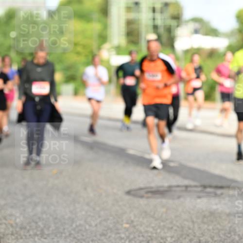 06.09.2026 - CURREX Alsterlauf Dr. Thomas Lammeyer http://msf.ph/oto/10141483 06.09.2026 10:10:22 Laufen  meine-sportfotos.de