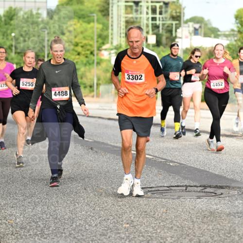 06.09.2026 - CURREX Alsterlauf Dr. Thomas Lammeyer http://msf.ph/oto/10141493 06.09.2026 10:10:23 Laufen 6158, 5475, 5255, 4488, 3302, 382, 4452, 5395, 27 meine-sportfotos.de