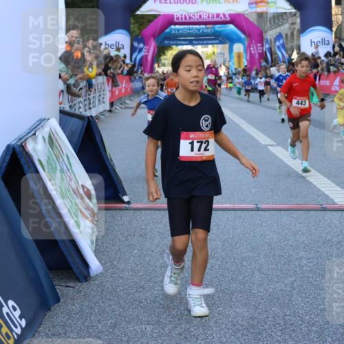 06.09.2026 - CURREX Alsterlauf Strokosch-Dieckow http://msf.ph/oto/10141518 06.09.2026 10:53:58 Ziel 157, 172, 177, 185, 195, 203, 208, 216, 218, 221, 243, 292, 302, 320, 334, 362, 404, 414, 418, 443, 8101, 8196, 8221, 8252 meine-sportfotos.de