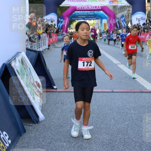 06.09.2026 - CURREX Alsterlauf Strokosch-Dieckow http://msf.ph/oto/10141522 06.09.2026 10:53:58 Ziel 157, 172, 177, 185, 195, 203, 208, 216, 218, 221, 243, 292, 302, 320, 334, 362, 404, 414, 418, 443, 8101, 8196, 8221, 8252 meine-sportfotos.de
