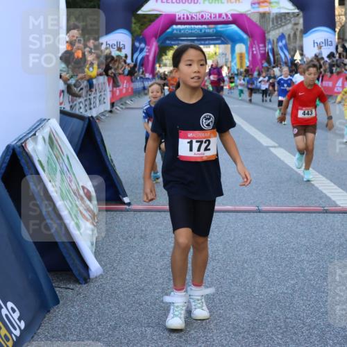 06.09.2026 - CURREX Alsterlauf Strokosch-Dieckow http://msf.ph/oto/10141528 06.09.2026 10:53:58 Ziel 157, 172, 177, 185, 195, 203, 208, 216, 218, 221, 243, 292, 302, 320, 334, 362, 404, 414, 418, 443, 8101, 8196, 8221, 8252 meine-sportfotos.de