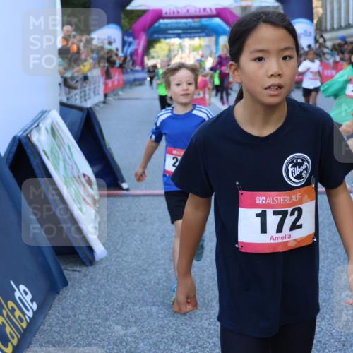06.09.2026 - CURREX Alsterlauf Strokosch-Dieckow http://msf.ph/oto/10141547 06.09.2026 10:54:00 Ziel 157, 172, 185, 195, 203, 208, 216, 218, 221, 243, 292, 296, 302, 320, 334, 364, 379, 414, 418, 443, 8101 meine-sportfotos.de