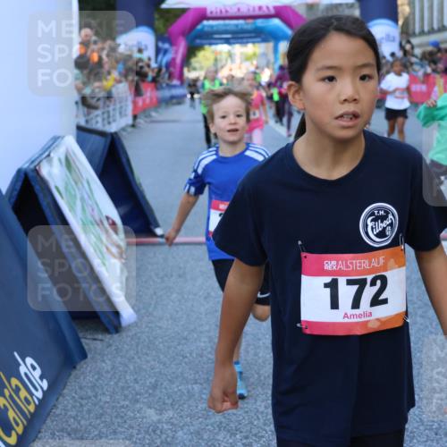 06.09.2026 - CURREX Alsterlauf Strokosch-Dieckow http://msf.ph/oto/10141551 06.09.2026 10:54:00 Ziel 157, 172, 185, 195, 203, 208, 216, 218, 221, 243, 292, 296, 302, 320, 334, 364, 379, 414, 418, 443, 8101 meine-sportfotos.de