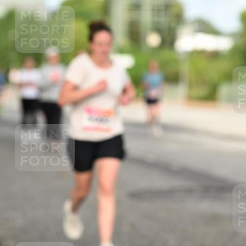 06.09.2026 - CURREX Alsterlauf Dr. Thomas Lammeyer http://msf.ph/oto/10141556 06.09.2026 10:10:30 Laufen  meine-sportfotos.de