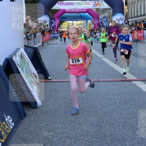 06.09.2026 - CURREX Alsterlauf Strokosch-Dieckow http://msf.ph/oto/10141566 06.09.2026 10:54:02 Ziel 157, 172, 195, 202, 203, 216, 218, 221, 243, 256, 260, 292, 296, 302, 321, 334, 364, 379, 414, 418, 443 meine-sportfotos.de