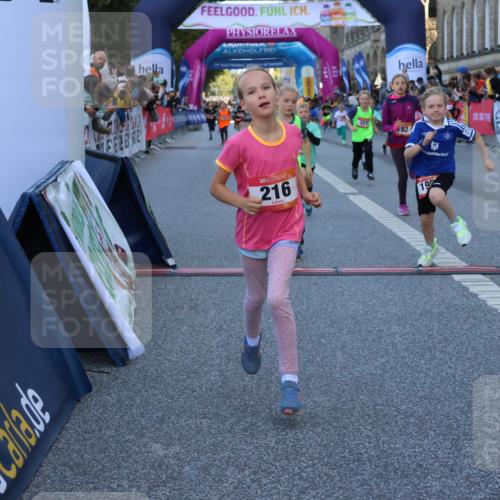 06.09.2026 - CURREX Alsterlauf Strokosch-Dieckow http://msf.ph/oto/10141584 06.09.2026 10:54:02 Ziel 157, 172, 195, 202, 203, 216, 218, 221, 243, 256, 260, 292, 296, 302, 321, 334, 364, 379, 414, 418, 443 meine-sportfotos.de
