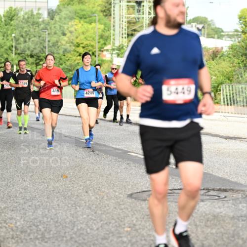 06.09.2026 - CURREX Alsterlauf Dr. Thomas Lammeyer http://msf.ph/oto/10141609 06.09.2026 10:10:36 Laufen 419, 4205, 5449 meine-sportfotos.de