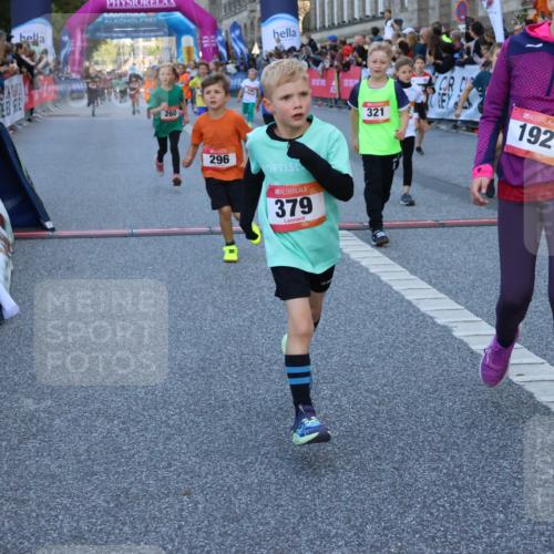06.09.2026 - CURREX Alsterlauf Strokosch-Dieckow http://msf.ph/oto/10141634 06.09.2026 10:54:06 Ziel 157, 195, 201, 202, 203, 216, 218, 221, 256, 260, 292, 296, 312, 321, 347, 364, 379, 414, 416, 443, 446, 455, 8253 meine-sportfotos.de