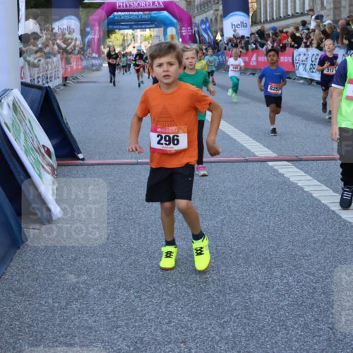 06.09.2026 - CURREX Alsterlauf Strokosch-Dieckow http://msf.ph/oto/10141673 06.09.2026 10:54:07 Ziel 157, 195, 201, 202, 203, 216, 218, 221, 256, 258, 260, 276, 296, 312, 321, 347, 364, 379, 414, 416, 446, 455, 8253 meine-sportfotos.de