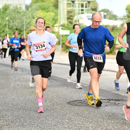 06.09.2026 - CURREX Alsterlauf Dr. Thomas Lammeyer http://msf.ph/oto/10141681 06.09.2026 10:10:45 Laufen 3134, 553, 3614, 3023 meine-sportfotos.de