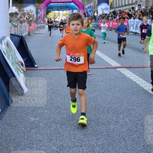 06.09.2026 - CURREX Alsterlauf Strokosch-Dieckow http://msf.ph/oto/10141685 06.09.2026 10:54:07 Ziel 157, 195, 201, 202, 203, 216, 218, 221, 256, 258, 260, 276, 296, 312, 321, 347, 364, 379, 414, 416, 446, 455, 8253 meine-sportfotos.de