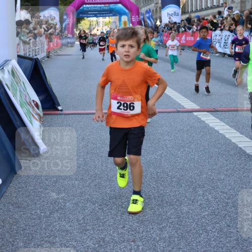 06.09.2026 - CURREX Alsterlauf Strokosch-Dieckow http://msf.ph/oto/10141690 06.09.2026 10:54:07 Ziel 157, 195, 201, 202, 203, 216, 218, 221, 256, 258, 260, 276, 296, 312, 321, 347, 364, 379, 414, 416, 446, 455, 8253 meine-sportfotos.de
