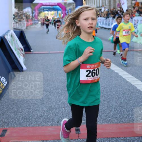 06.09.2026 - CURREX Alsterlauf Strokosch-Dieckow http://msf.ph/oto/10141695 06.09.2026 10:54:10 Ziel 157, 195, 201, 202, 206, 256, 258, 260, 276, 283, 296, 300, 312, 321, 347, 364, 379, 414, 416, 446, 455, 8113, 8253 meine-sportfotos.de