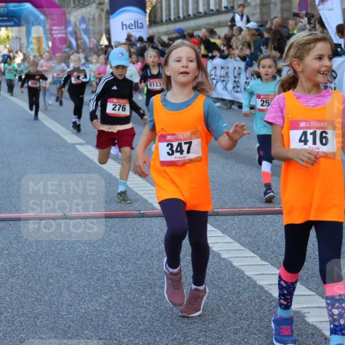 06.09.2026 - CURREX Alsterlauf Strokosch-Dieckow http://msf.ph/oto/10141731 06.09.2026 10:54:12 Ziel 201, 202, 206, 256, 258, 260, 270, 276, 283, 296, 300, 312, 321, 347, 364, 416, 417, 436, 440, 446, 449, 455, 8113, 8174, 8253 meine-sportfotos.de