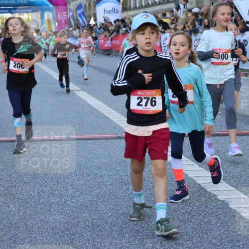 06.09.2026 - CURREX Alsterlauf Strokosch-Dieckow http://msf.ph/oto/10141753 06.09.2026 10:54:14 Ziel 201, 206, 238, 258, 260, 264, 270, 276, 283, 300, 312, 347, 399, 416, 417, 436, 440, 446, 449, 455, 8113, 8174, 8253 meine-sportfotos.de