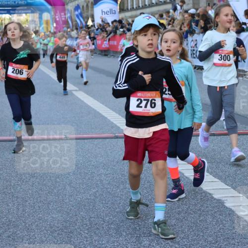 06.09.2026 - CURREX Alsterlauf Strokosch-Dieckow http://msf.ph/oto/10141757 06.09.2026 10:54:14 Ziel 201, 206, 238, 258, 260, 264, 270, 276, 283, 300, 312, 347, 399, 416, 417, 436, 440, 446, 449, 455, 8113, 8174, 8253 meine-sportfotos.de