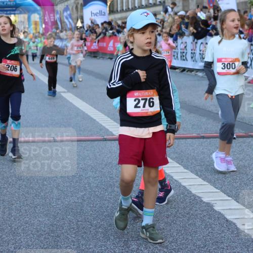 06.09.2026 - CURREX Alsterlauf Strokosch-Dieckow http://msf.ph/oto/10141772 06.09.2026 10:54:15 Ziel 201, 206, 238, 258, 264, 270, 276, 283, 300, 312, 347, 399, 416, 417, 436, 440, 446, 449, 455, 8113, 8174, 8253 meine-sportfotos.de