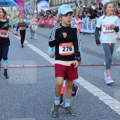 06.09.2026 - CURREX Alsterlauf Strokosch-Dieckow http://msf.ph/oto/10141778 06.09.2026 10:54:15 Ziel 201, 206, 238, 258, 264, 270, 276, 283, 300, 312, 347, 399, 416, 417, 436, 440, 446, 449, 455, 8113, 8174, 8253 meine-sportfotos.de