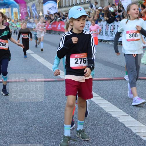 06.09.2026 - CURREX Alsterlauf Strokosch-Dieckow http://msf.ph/oto/10141783 06.09.2026 10:54:15 Ziel 201, 206, 238, 258, 264, 270, 276, 283, 300, 312, 347, 399, 416, 417, 436, 440, 446, 449, 455, 8113, 8174, 8253 meine-sportfotos.de