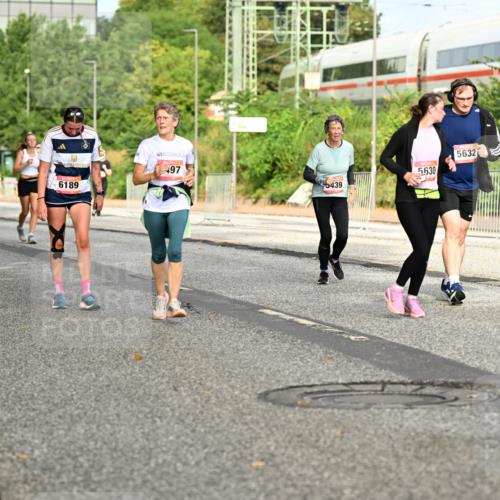 06.09.2026 - CURREX Alsterlauf Dr. Thomas Lammeyer http://msf.ph/oto/10141786 06.09.2026 10:10:56 Laufen 6332, 497, 6189, 5632, 5630, 5439 meine-sportfotos.de