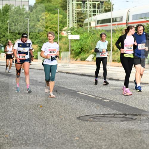 06.09.2026 - CURREX Alsterlauf Dr. Thomas Lammeyer http://msf.ph/oto/10141787 06.09.2026 10:10:56 Laufen 6332, 4497, 5630, 5632, 5439, 6189 meine-sportfotos.de