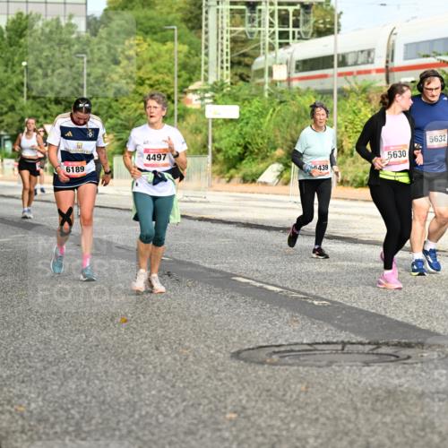 06.09.2026 - CURREX Alsterlauf Dr. Thomas Lammeyer http://msf.ph/oto/10141789 06.09.2026 10:10:56 Laufen 3741, 6332, 6189, 5632, 4497, 5630, 439 meine-sportfotos.de