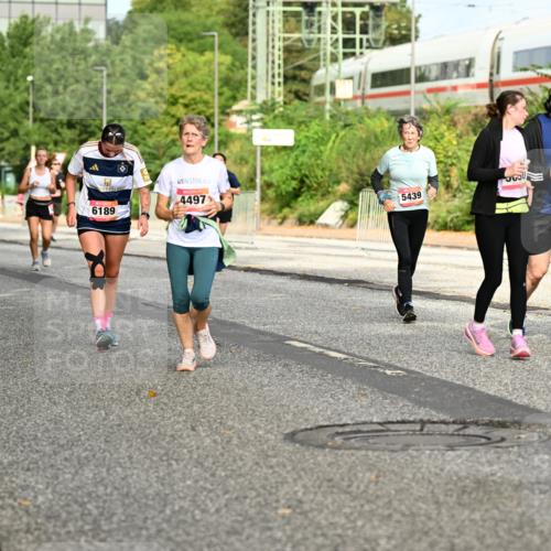 06.09.2026 - CURREX Alsterlauf Dr. Thomas Lammeyer http://msf.ph/oto/10141792 06.09.2026 10:10:56 Laufen 6332, 5741, 4497, 6189, 32, 5439 meine-sportfotos.de