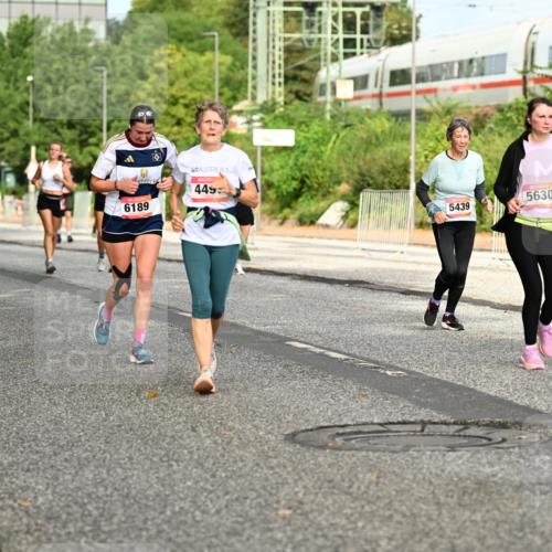 06.09.2026 - CURREX Alsterlauf Dr. Thomas Lammeyer http://msf.ph/oto/10141798 06.09.2026 10:10:57 Laufen 3741, 6332, 449, 6189, 5439, 5630, 5632 meine-sportfotos.de