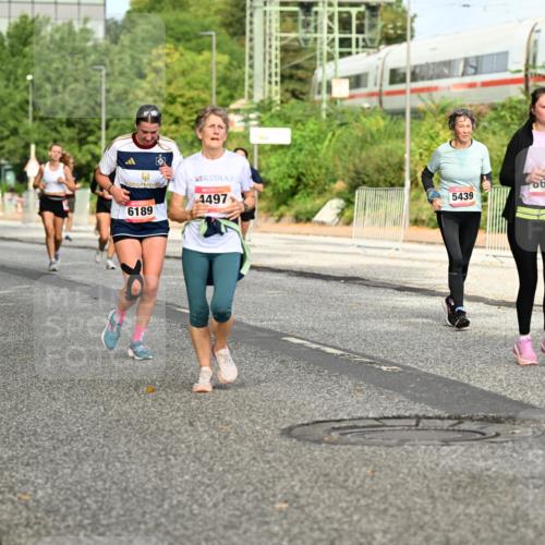 06.09.2026 - CURREX Alsterlauf Dr. Thomas Lammeyer http://msf.ph/oto/10141799 06.09.2026 10:10:57 Laufen 5439, 630, 632, 6332, 4497, 6189 meine-sportfotos.de