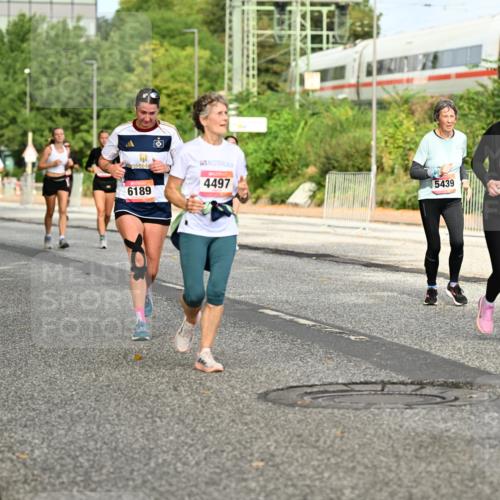 06.09.2026 - CURREX Alsterlauf Dr. Thomas Lammeyer http://msf.ph/oto/10141802 06.09.2026 10:10:57 Laufen 6332, 6189, 4497, 5439, 5630, 5632 meine-sportfotos.de