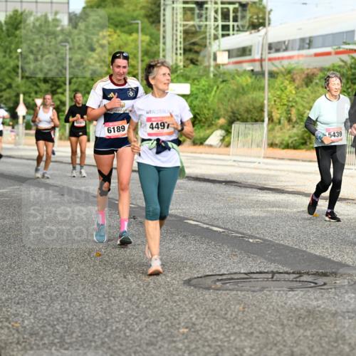06.09.2026 - CURREX Alsterlauf Dr. Thomas Lammeyer http://msf.ph/oto/10141805 06.09.2026 10:10:57 Laufen 6332, 5081, 6189, 4497, 5439, 5630, 5 meine-sportfotos.de