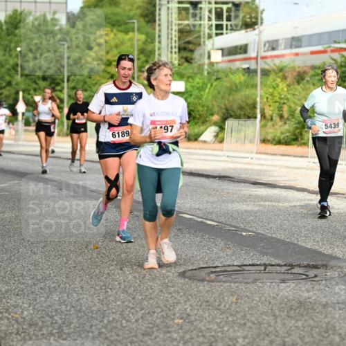 06.09.2026 - CURREX Alsterlauf Dr. Thomas Lammeyer http://msf.ph/oto/10141806 06.09.2026 10:10:57 Laufen 6332, 500, 6189, 97, 5439, 5630 meine-sportfotos.de