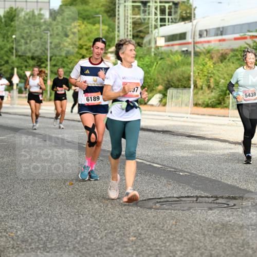 06.09.2026 - CURREX Alsterlauf Dr. Thomas Lammeyer http://msf.ph/oto/10141808 06.09.2026 10:10:58 Laufen 37, 5439, 6332, 6189, 3630 meine-sportfotos.de