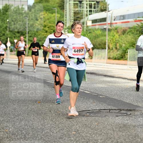 06.09.2026 - CURREX Alsterlauf Dr. Thomas Lammeyer http://msf.ph/oto/10141810 06.09.2026 10:10:58 Laufen 6332, 6189, 4497, 5439, 5630 meine-sportfotos.de