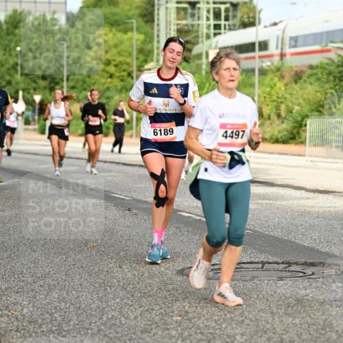 06.09.2026 - CURREX Alsterlauf Dr. Thomas Lammeyer http://msf.ph/oto/10141817 06.09.2026 10:10:58 Laufen 6332, 6189, 4497, 5439 meine-sportfotos.de