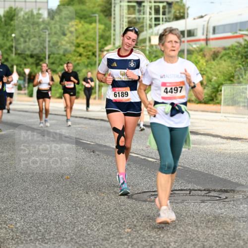 06.09.2026 - CURREX Alsterlauf Dr. Thomas Lammeyer http://msf.ph/oto/10141819 06.09.2026 10:10:59 Laufen 6332, 6189, 4497, 5439 meine-sportfotos.de