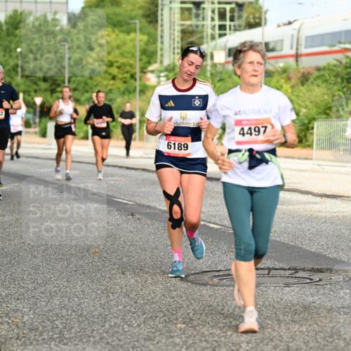 06.09.2026 - CURREX Alsterlauf Dr. Thomas Lammeyer http://msf.ph/oto/10141821 06.09.2026 10:10:59 Laufen 4497, 6332, 6189 meine-sportfotos.de