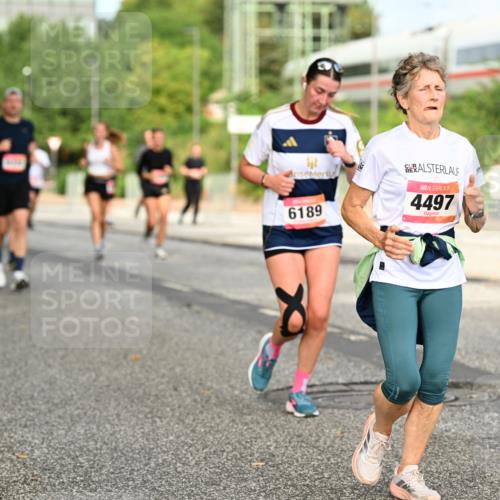 06.09.2026 - CURREX Alsterlauf Dr. Thomas Lammeyer http://msf.ph/oto/10141824 06.09.2026 10:10:59 Laufen 05, 6189, 4497 meine-sportfotos.de
