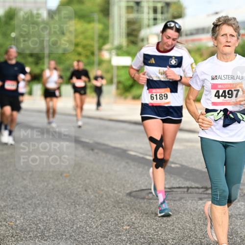 06.09.2026 - CURREX Alsterlauf Dr. Thomas Lammeyer http://msf.ph/oto/10141826 06.09.2026 10:10:59 Laufen 6189, 4497 meine-sportfotos.de