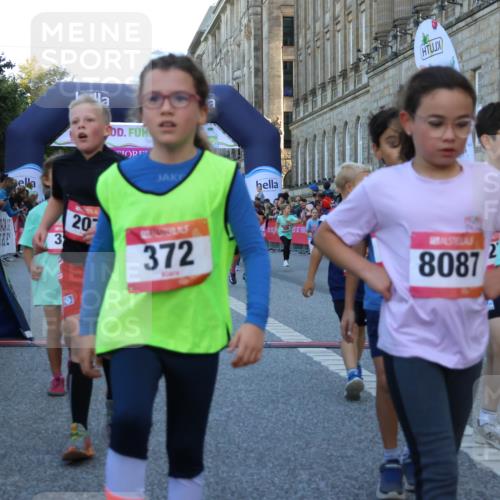 06.09.2026 - CURREX Alsterlauf Strokosch-Dieckow http://msf.ph/oto/10141840 06.09.2026 10:54:27 Ziel 162, 179, 207, 239, 240, 278, 284, 285, 304, 318, 326, 329, 333, 357, 361, 365, 372, 387, 390, 431, 444, 456, 8087, 8343 meine-sportfotos.de