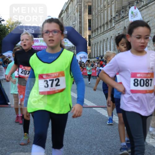 06.09.2026 - CURREX Alsterlauf Strokosch-Dieckow http://msf.ph/oto/10141845 06.09.2026 10:54:28 Ziel 162, 179, 207, 239, 240, 278, 284, 285, 297, 304, 318, 326, 329, 333, 343, 357, 361, 365, 372, 387, 390, 431, 444, 456, 8087, 8343 meine-sportfotos.de