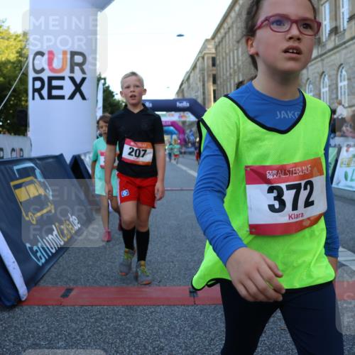 06.09.2026 - CURREX Alsterlauf Strokosch-Dieckow http://msf.ph/oto/10141852 06.09.2026 10:54:29 Ziel 162, 179, 207, 239, 240, 278, 284, 285, 297, 304, 318, 326, 329, 333, 343, 357, 361, 372, 387, 390, 456, 8343 meine-sportfotos.de