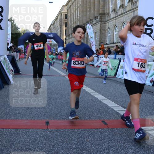 06.09.2026 - CURREX Alsterlauf Strokosch-Dieckow http://msf.ph/oto/10141888 06.09.2026 10:54:33 Ziel 162, 240, 267, 297, 304, 318, 326, 329, 333, 343, 351, 361, 367, 387, 456, 8343 meine-sportfotos.de