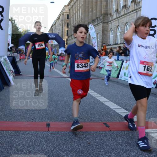 06.09.2026 - CURREX Alsterlauf Strokosch-Dieckow http://msf.ph/oto/10141893 06.09.2026 10:54:33 Ziel 162, 240, 267, 297, 304, 318, 326, 329, 333, 343, 351, 361, 367, 387, 456, 8343 meine-sportfotos.de