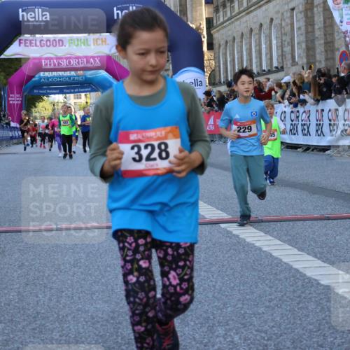06.09.2026 - CURREX Alsterlauf Strokosch-Dieckow http://msf.ph/oto/10141951 06.09.2026 10:54:44 Ziel 212, 228, 229, 267, 328, 340, 345, 359, 382, 457 meine-sportfotos.de