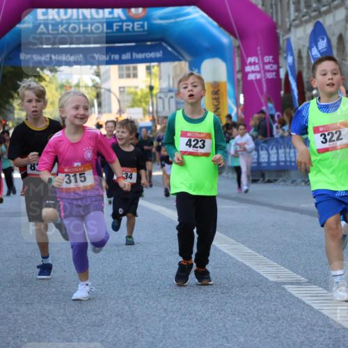06.09.2026 - CURREX Alsterlauf Strokosch-Dieckow http://msf.ph/oto/10141965 06.09.2026 10:54:49 Ziel 229, 234, 315, 322, 328, 340, 345, 359, 382, 398, 423, 8287 meine-sportfotos.de