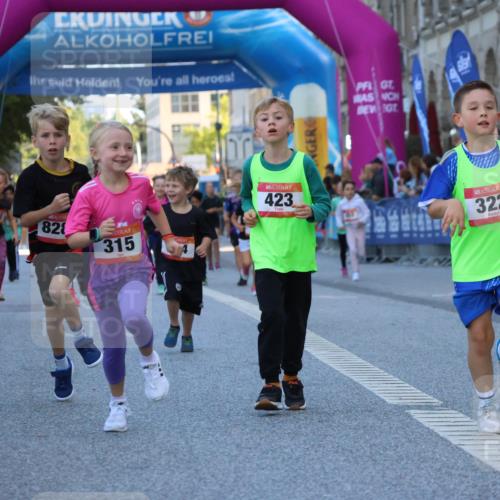 06.09.2026 - CURREX Alsterlauf Strokosch-Dieckow http://msf.ph/oto/10141970 06.09.2026 10:54:49 Ziel 229, 234, 315, 322, 328, 340, 345, 359, 382, 398, 423, 8287 meine-sportfotos.de